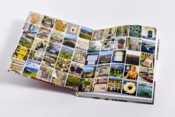 Provenzalischer Wintergenuss*Suedwest Verlag Sale