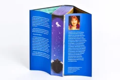 Penhaligon High Fantasy-Ragpicker King - Die Chroniken von Castellan