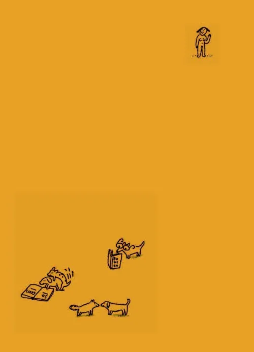 Kunstmann Antje GmbH Lgbtqia+ Jugendbücher*Rambazamba? Aber sicher!