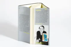 Raubzug von rechts*Goldmann Verlag New