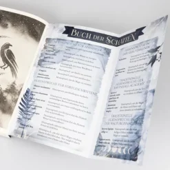 Carlsen Verlag GmbH Young Adult|Fantasy*Ravenhall Academy 1: Verborgene Magie