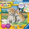 Ravensburger Basteln & Kreatives-- Malen nach Zahlen - Kleine Leoparden