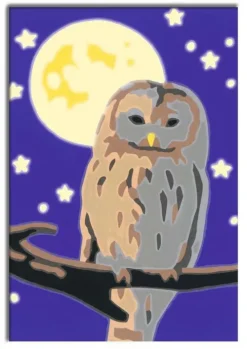 Ravensburger Basteln & Kreatives-- Malen nach Zahlen - Nachteule