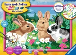 - Malen nach Zahlen - Putzige Häschen*Ravensburger Outlet