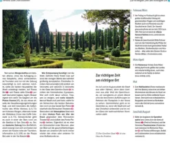 Reise Know-How Rump GmbH Reiseführer*Reise Know-How CityTrip Verona