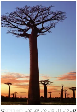 Ackermann Kunstverlag Wochenkalender-Reisen Wochenkalender 2026