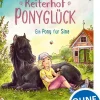 Loewe Verlag Tiere|Erstlesebücher*Reiterhof Ponyglück (Band 1) - Ein Pony für Sina
