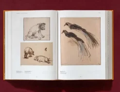 Taschen GmbH Künstler:Innen Im Fokus*Rembrandt. Sämtliche Zeichnungen und Radierungen