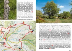 Bergverlag Rother Wandern-Rhön