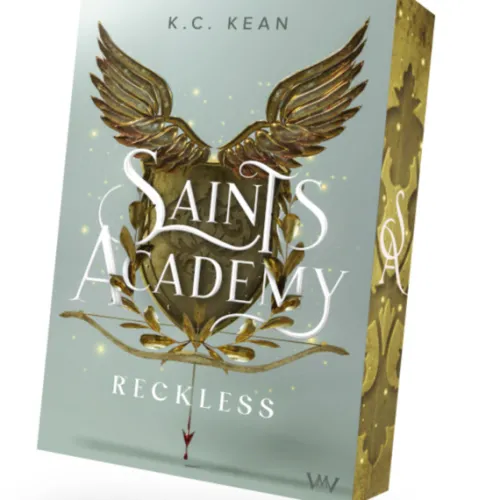 Saints Academy 1 - Reckless*booXperts Discount