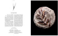 Sauerteig. Gutes Brot backen*Prestel Verlag Discount