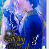 Carlsen Verlag GmbH Koreanischer Manga - Manhwa-Saving my Sweetheart 3