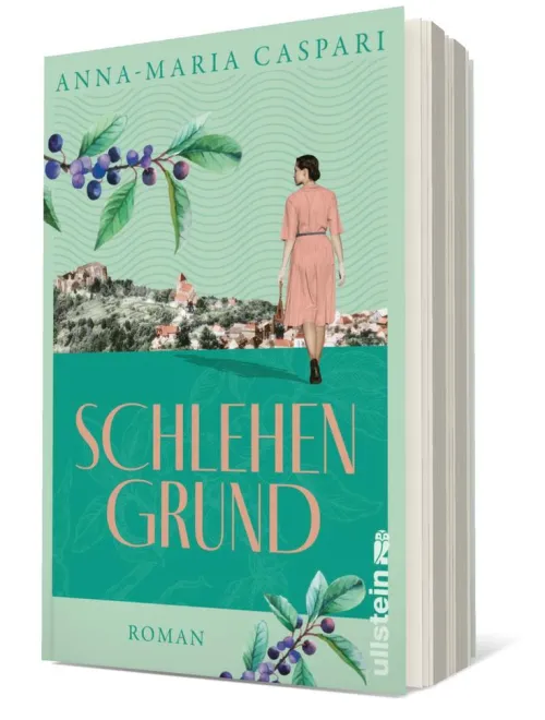 Ullstein extra Schicksalsromane*Schlehengrund