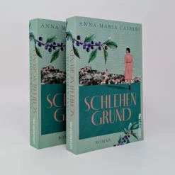 Ullstein extra Schicksalsromane*Schlehengrund