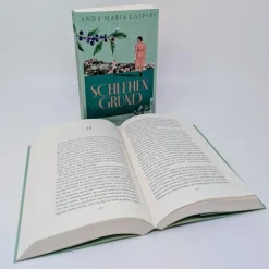 Ullstein extra Schicksalsromane*Schlehengrund