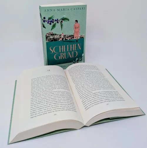 Ullstein extra Schicksalsromane*Schlehengrund