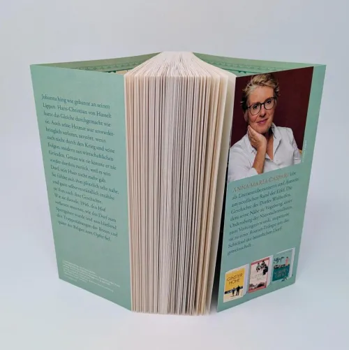 Ullstein extra Schicksalsromane*Schlehengrund