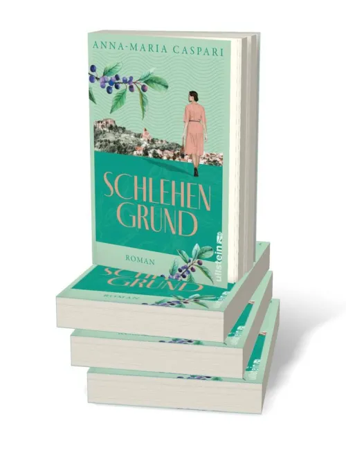 Ullstein extra Schicksalsromane*Schlehengrund