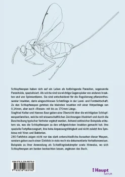 Haupt Verlag AG Biologie-Schlupfwespen