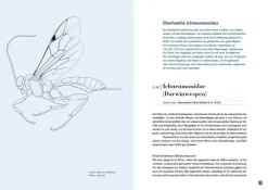 Haupt Verlag AG Biologie-Schlupfwespen