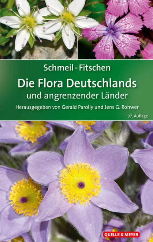 SCHMEIL-FITSCHEN Die Flora Deutschlands und angrenzender Länder*Quelle + Meyer Clearance