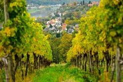 Sächsisches Allerlei*Christian Verlag GmbH New