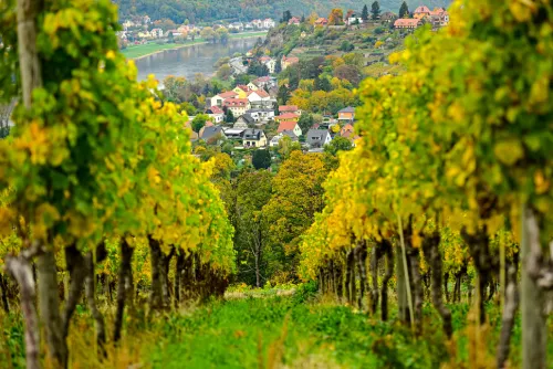 Sächsisches Allerlei*Christian Verlag GmbH New