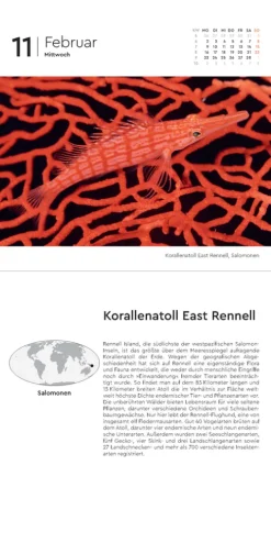 Kunth Kalender Abreiß-Kalender-Schätze der Natur - KUNTH 365-Tage-Abreißkalender 2026