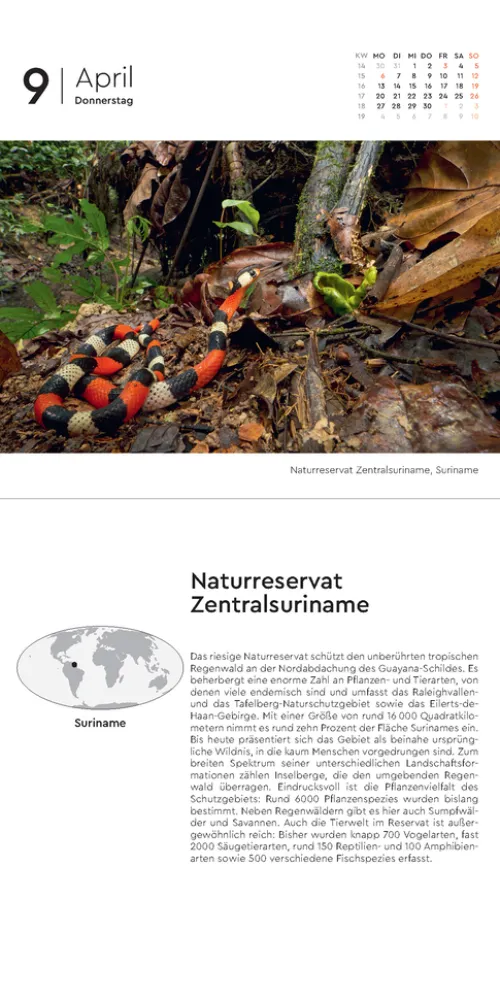 Kunth Kalender Abreiß-Kalender-Schätze der Natur - KUNTH 365-Tage-Abreißkalender 2026
