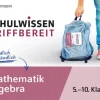 Schulwissen griffbereit. Mathematik Algebra*Westermann Lernwelten Discount