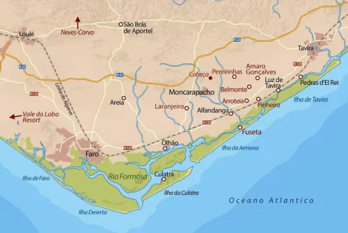 Kiepenheuer & Witsch GmbH Spionagethriller-Schwarzer August