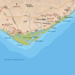 Kiepenheuer & Witsch GmbH Spionagethriller-Schwarzer August