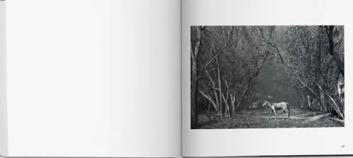 Taschen GmbH Künstler:Innen Im Fokus-Sebastião Salgado. Kuwait. A Desert on Fire