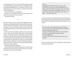 FISCHER Sauerländer Lgbtqia+ Jugendbücher-Secondhand Toyfriend