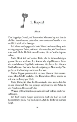 ONE Lgbtqia+ Jugendbücher-Secret Academy - Gefährliche Liebe (Band 2)