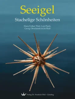 Pfeil, Dr. Friedrich Geowissenschaft*Seeigel - Stachelige Schönheiten