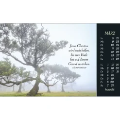 Kawohl Postkartenkalender-Sehnsucht nach Unendlichkeit 2026