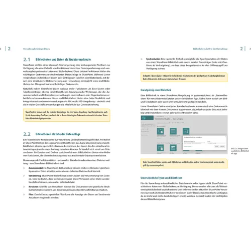 BILDNER Verlag Technik|Informatik & Edv*Sharepoint Online