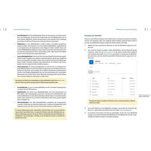 BILDNER Verlag Technik|Informatik & Edv*Sharepoint Online