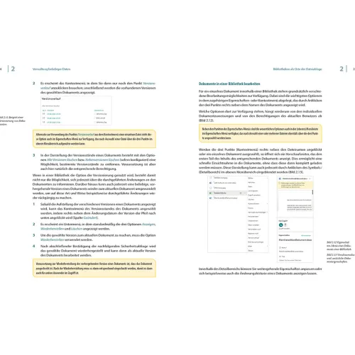 BILDNER Verlag Technik|Informatik & Edv*Sharepoint Online