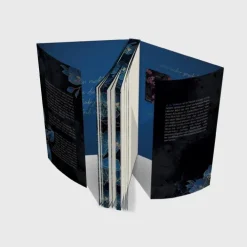 LAGO Romantic Suspense-Shattered Love