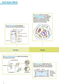Sicher im Abi Biologie*Klett Lerntraining New