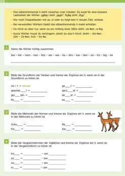 Klett Lerntraining Quali Trainer·Grundschule|Grundschule·Deutsch-Sicher ins Gymnasium Deutsch 4. Klasse