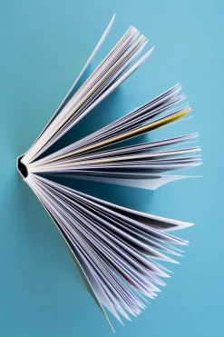 Seemann Henschel GmbH Kunst & Architektur-Sieh hin!