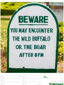 Signs Wochenplaner Kalender 2026*Ackermann Kunstverlag Best