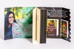 Silberne Geister*Limes Verlag Hot