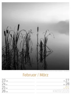 Ackermann Kunstverlag Wochenkalender*Silent Nature Wochenplaner Kalender 2026