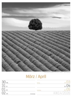 Ackermann Kunstverlag Wochenkalender*Silent Nature Wochenplaner Kalender 2026