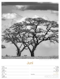 Ackermann Kunstverlag Wochenkalender*Silent Nature Wochenplaner Kalender 2026