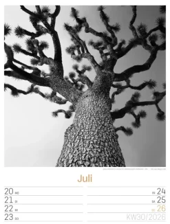 Ackermann Kunstverlag Wochenkalender*Silent Nature Wochenplaner Kalender 2026